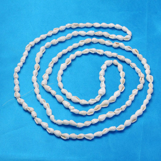 Φυσικά κοχυλάκια -COW7