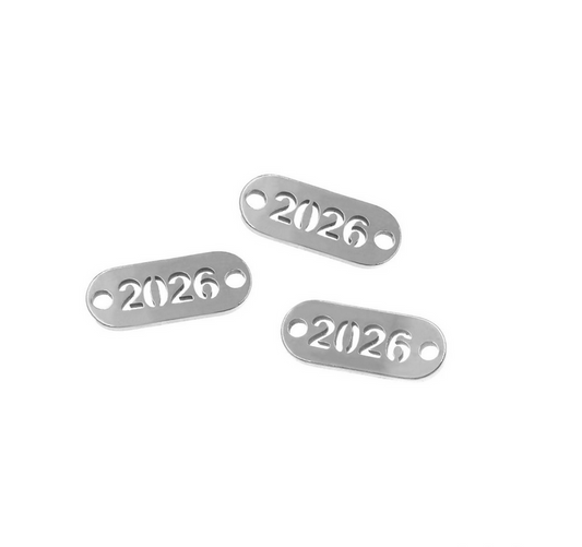 Ατσάλινο 2026 ασημί συνδετικό 15mm