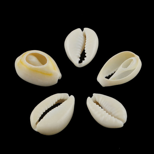 Φυσικά κοχύλια 18mm -COW1