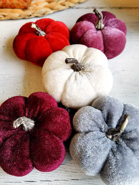 Μικρή βελούδινη κολοκύθα